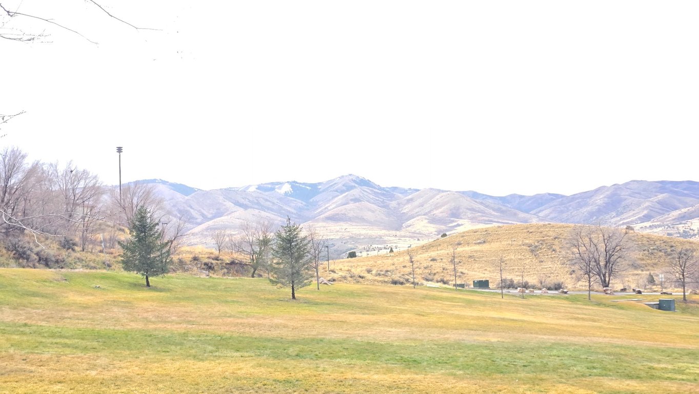 Bartz Field