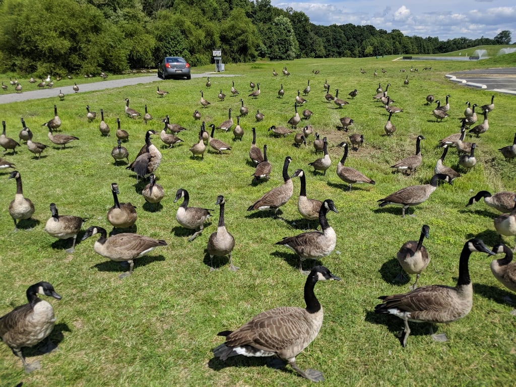 Glasgow Regional Park