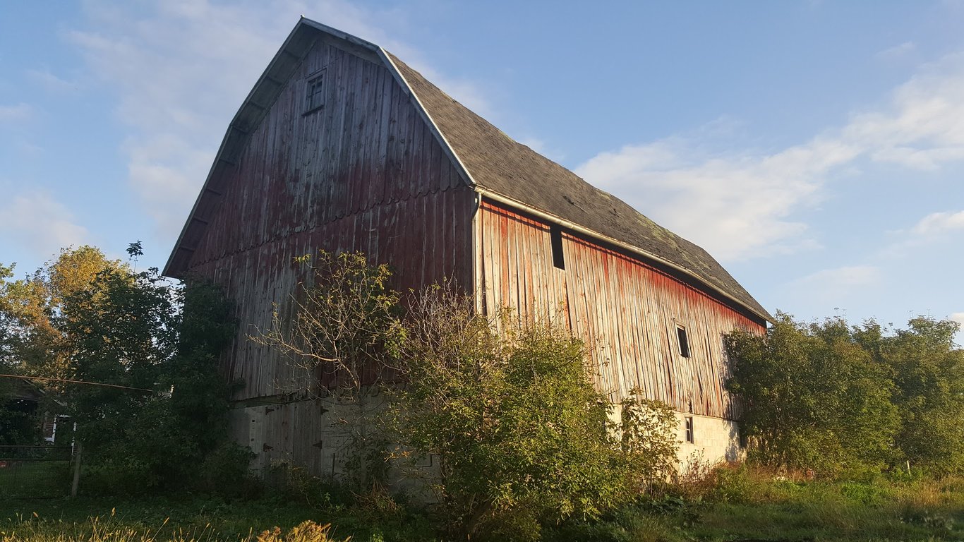 Rustic Revival Barnwood