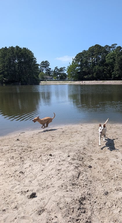 Surfside Beach Dog Park