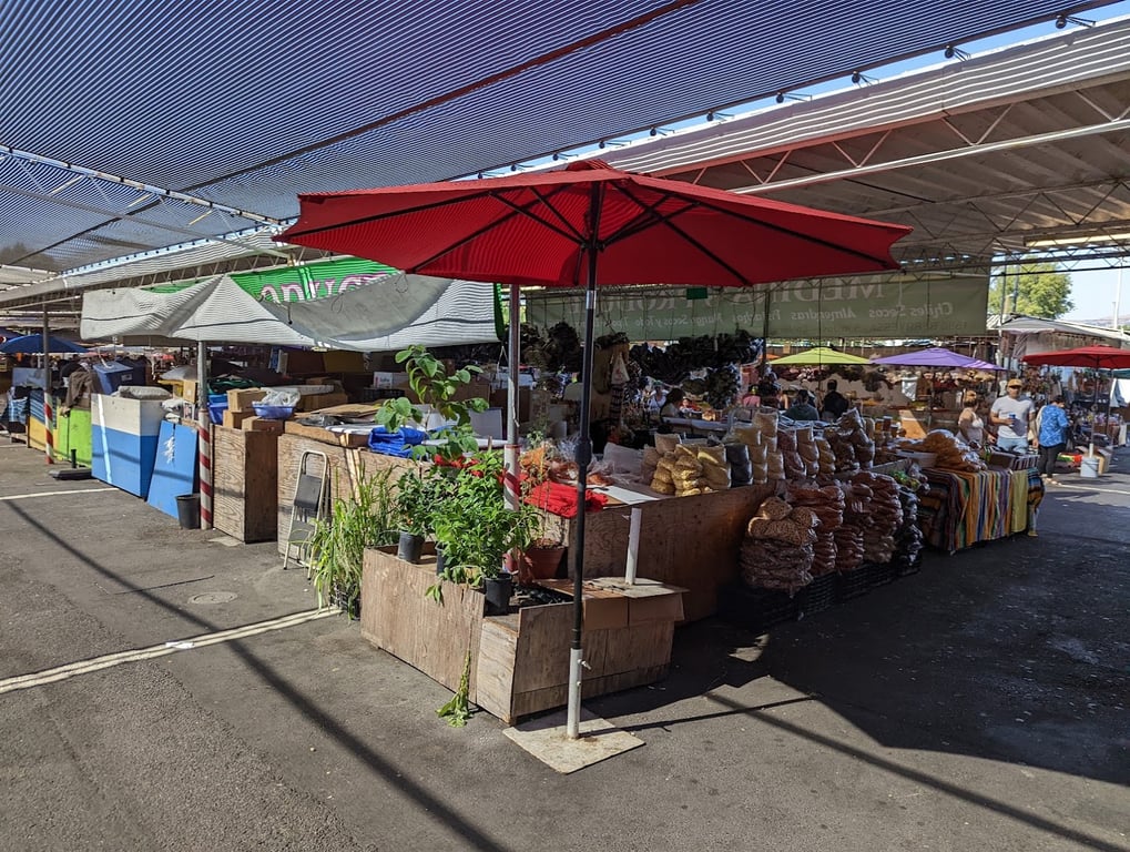 The San Jose Flea Market