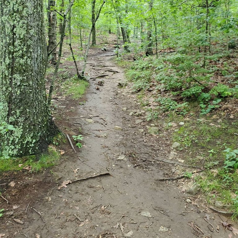 Whipple Hill