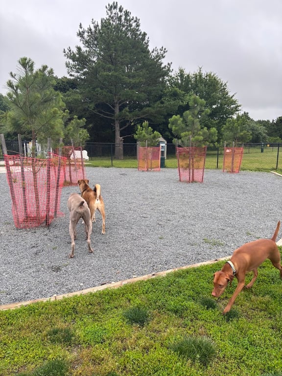 Lewes Unleashed Dog Park Private Park