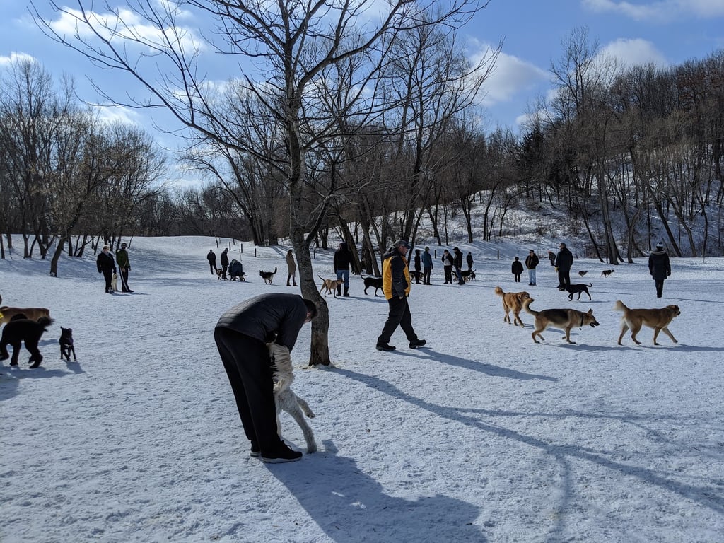 Bryant Lake Dog Park