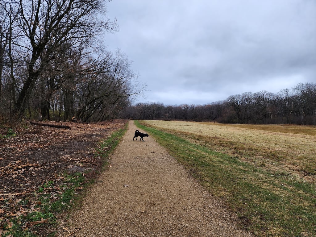 Andy’s Bark Park