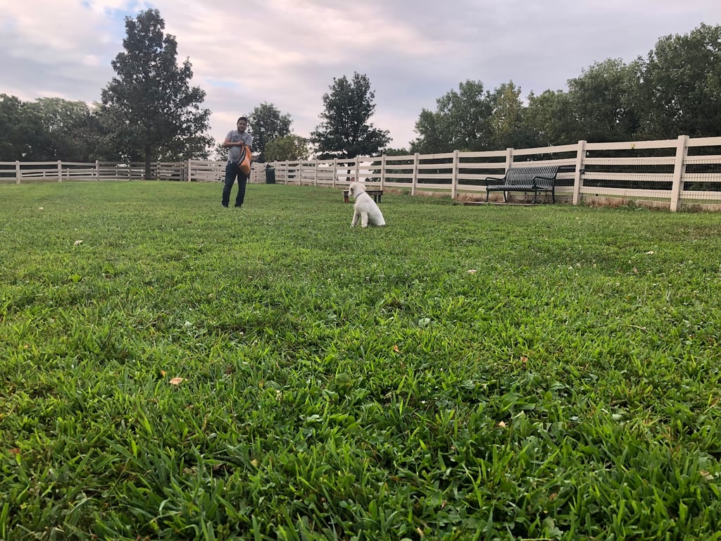 Brooksedge Park Bark Park