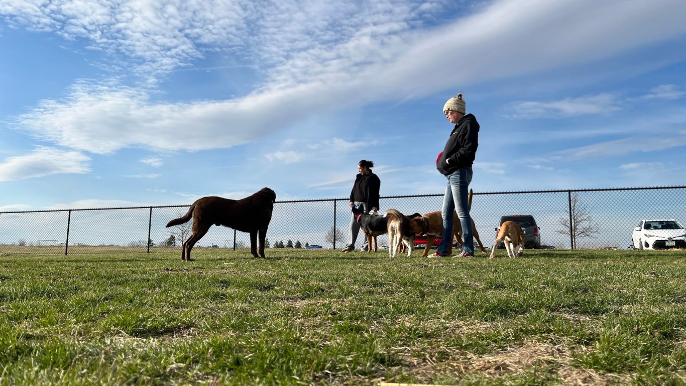 East Lake Park – Dog Park