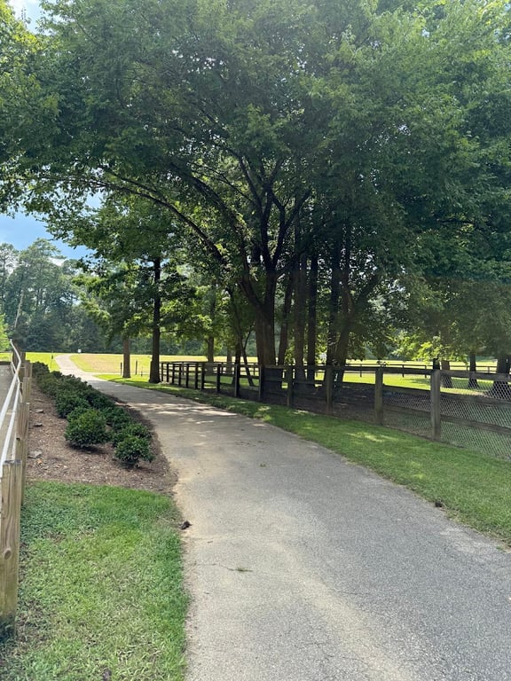 Hoover Dog Park