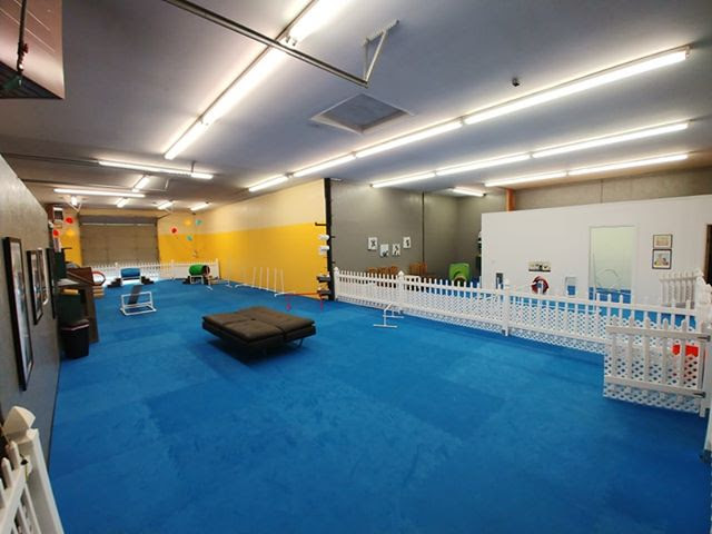 Gearhart Indoor Dog Park and Doggy Daycare