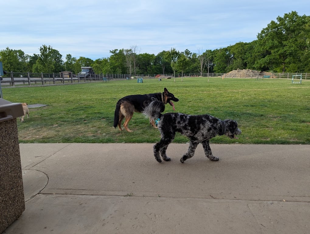 Jade’s Dog Park