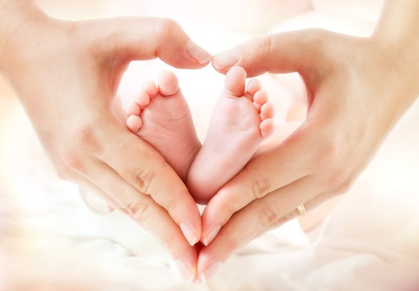 Cradle of Hope