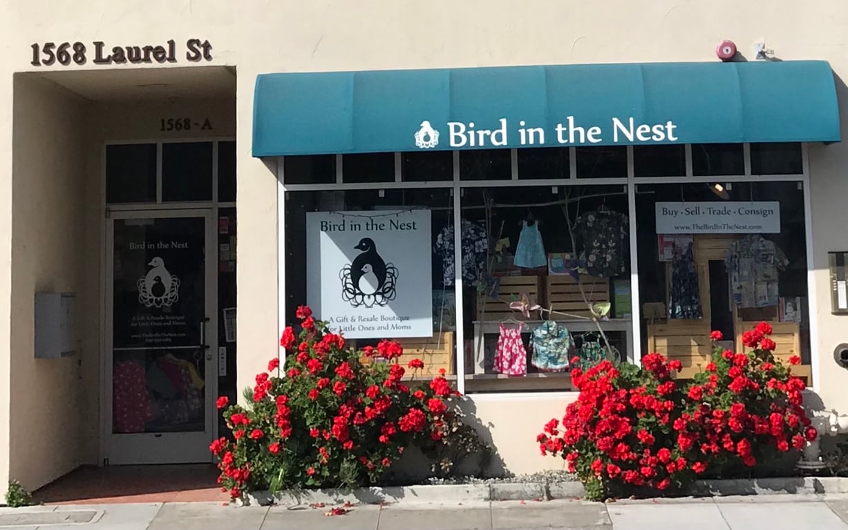 Bird in the Nest