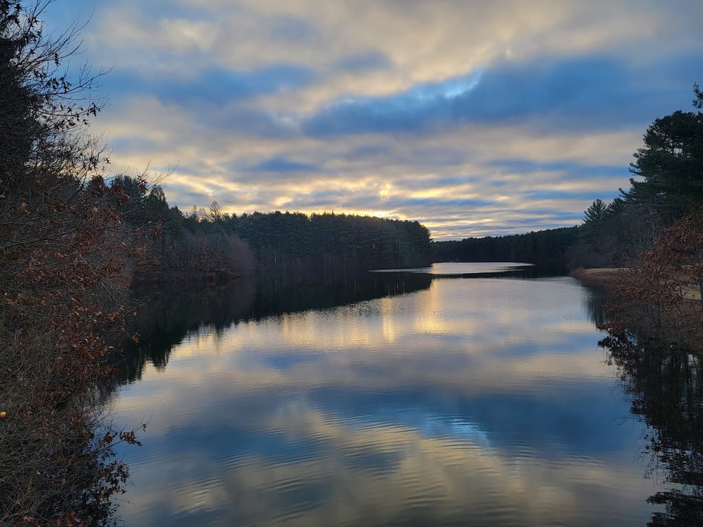 Reservoir Walking Trail / Weston