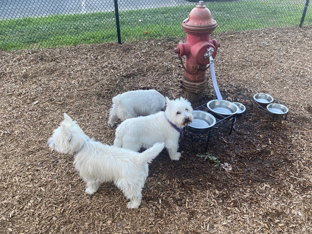 Granby Dog Park