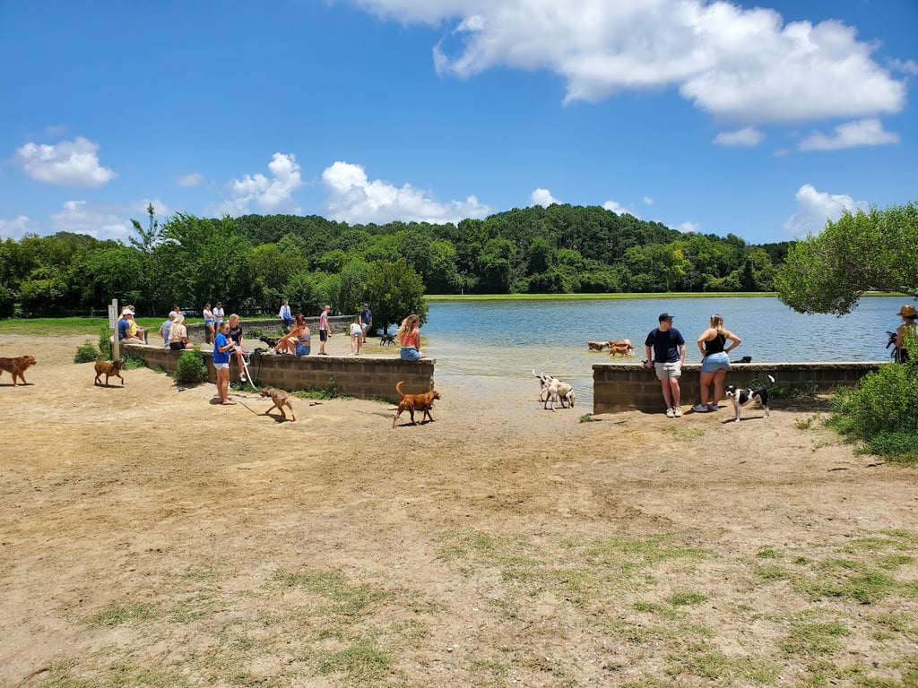 James Island County Park – Dog Park