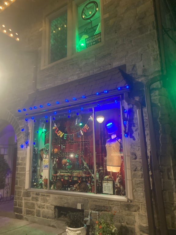 Scrappy Cat (a curiosity shop)