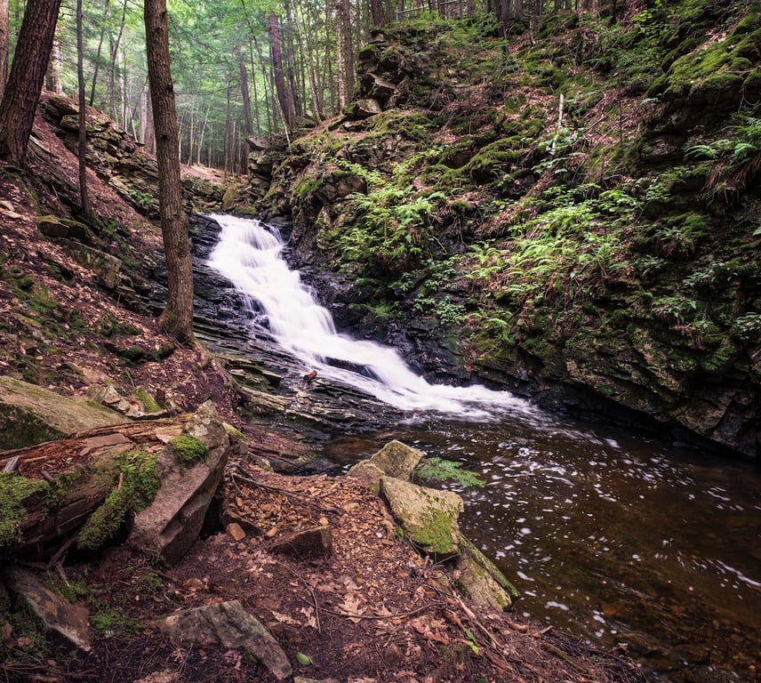 Chesterfield Gorge Natural Area
