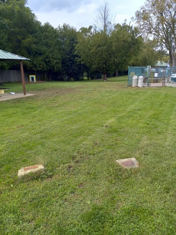 Canine Corral