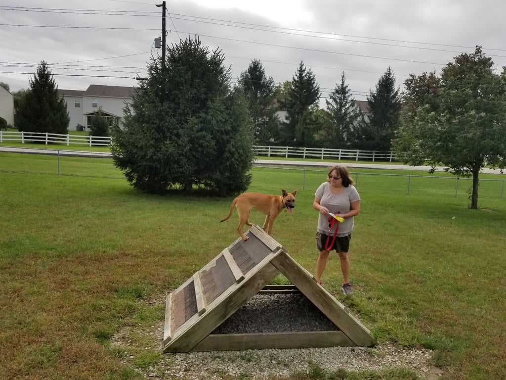 Waggin’ Tails Bark Park