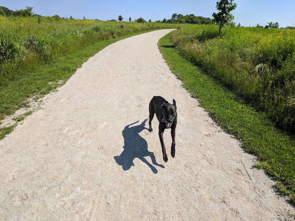Hawk Hollow Dog Park