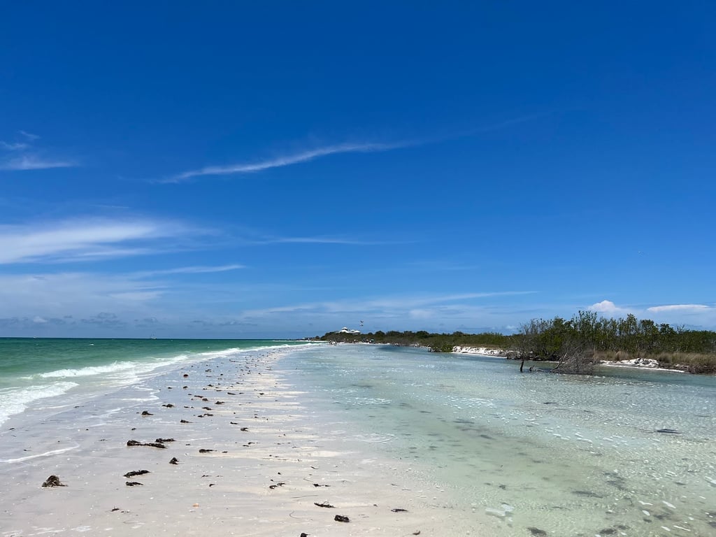 Honeymoon Island State Park Pet Beach