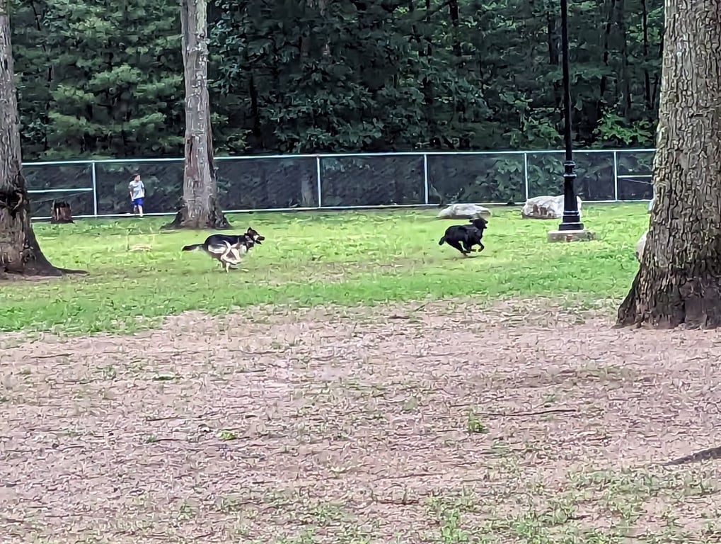 Agawam Dog Park