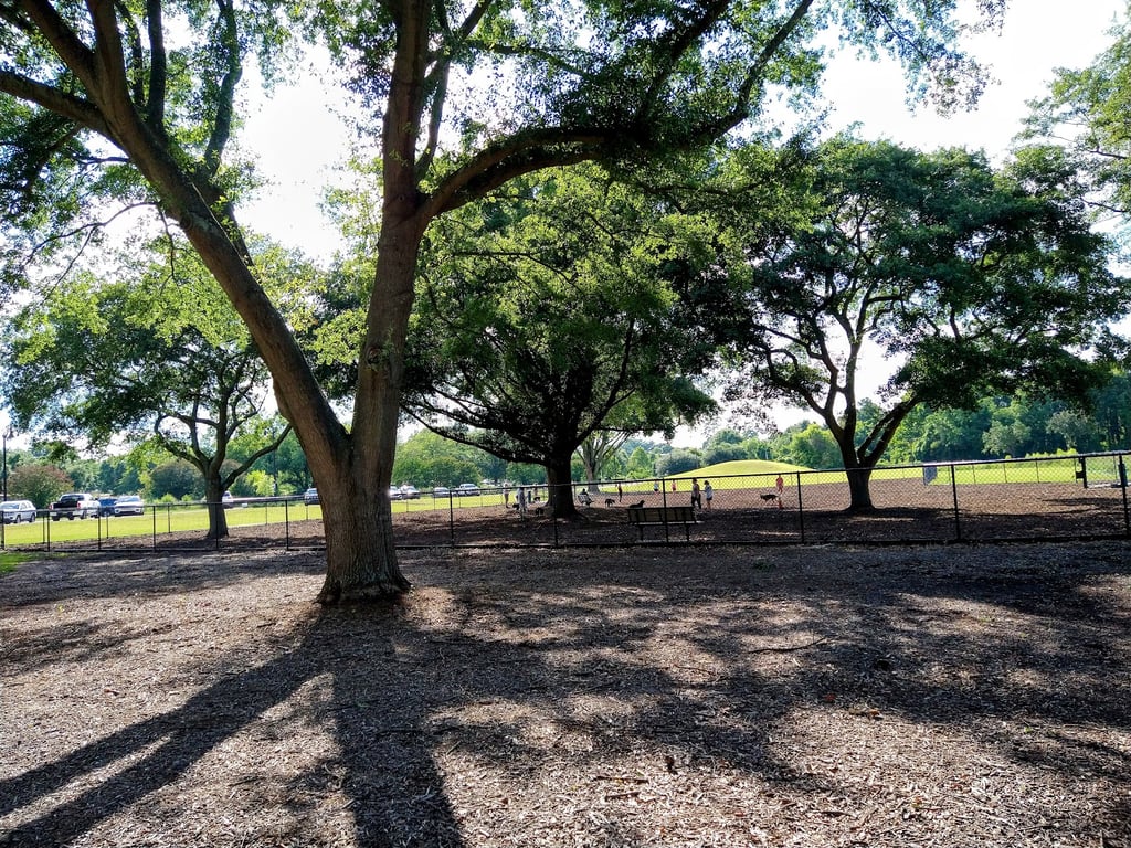 Page Ellington Park Dog Park