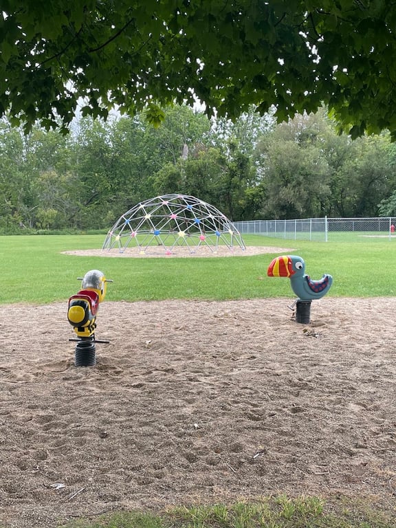 Cedar Springs Dog Park (in Riggle Park)