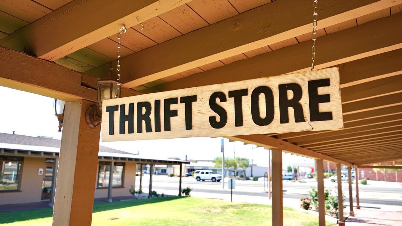 Wild Goose Vintage & Thrift Store