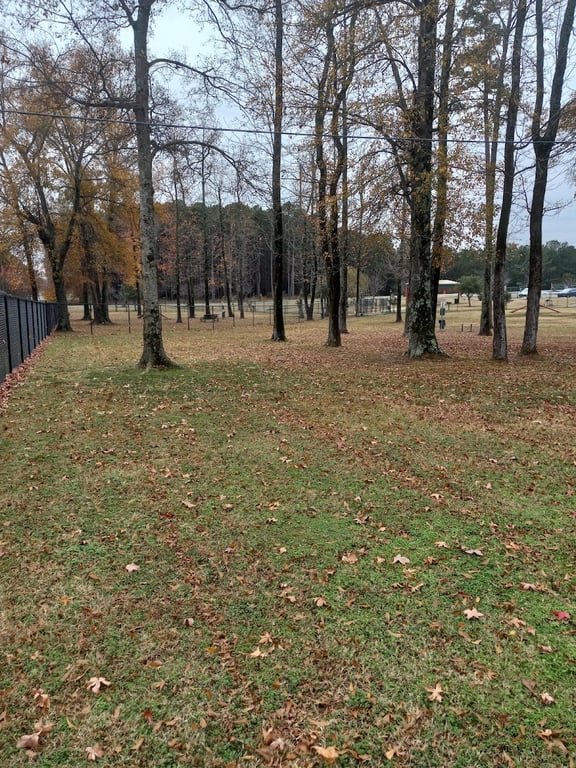 Jacksonville Dog Park