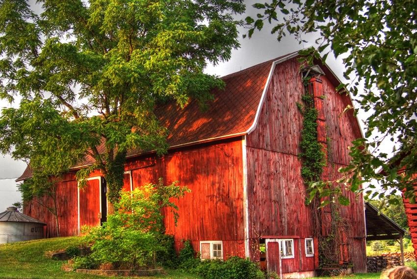 Photo of Clutter Barn Auction