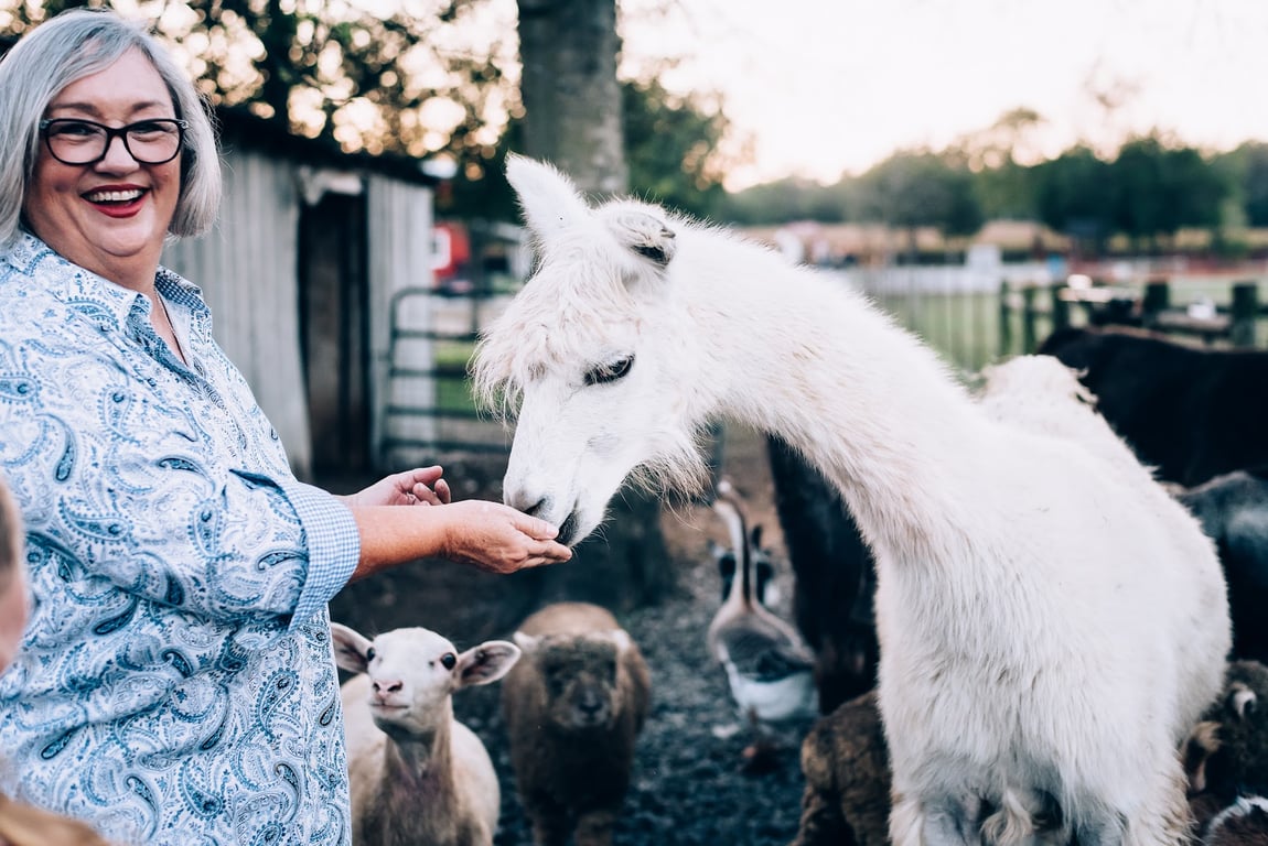 Lucky Ladd Farms – Farm Park & Zoo