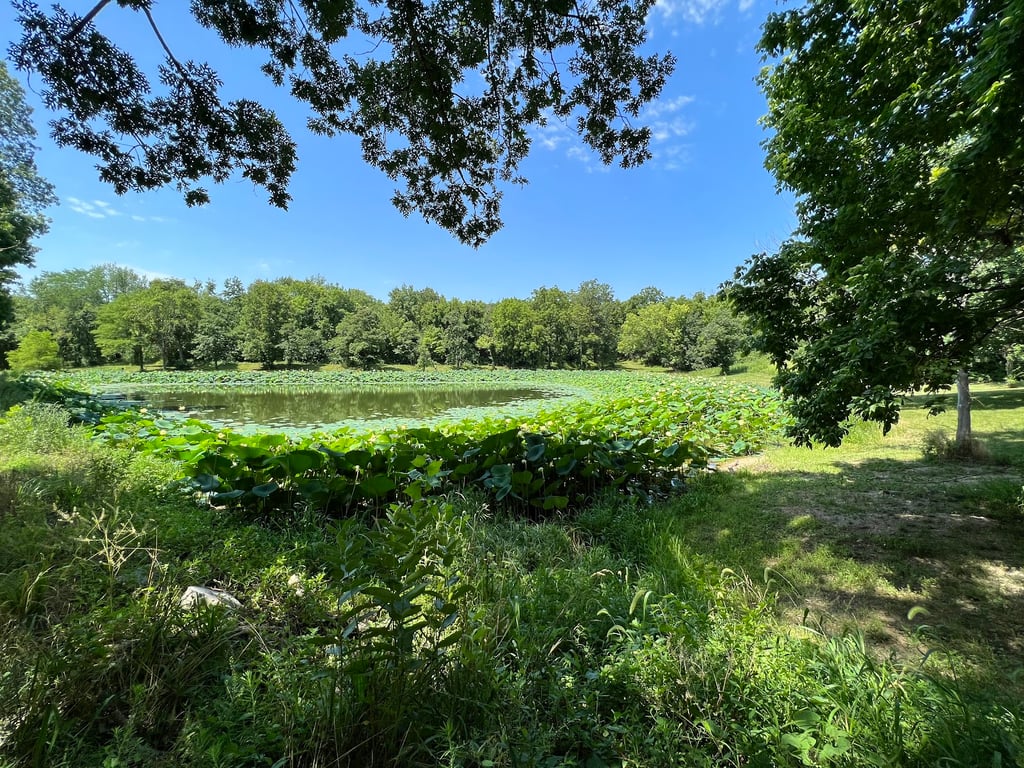 Tails & Trails Dog Park at Queeny Park(membership)