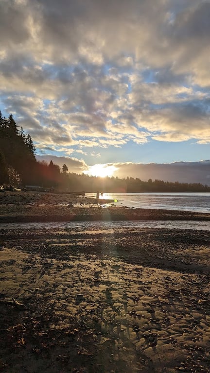 Howarth Off Leash Area