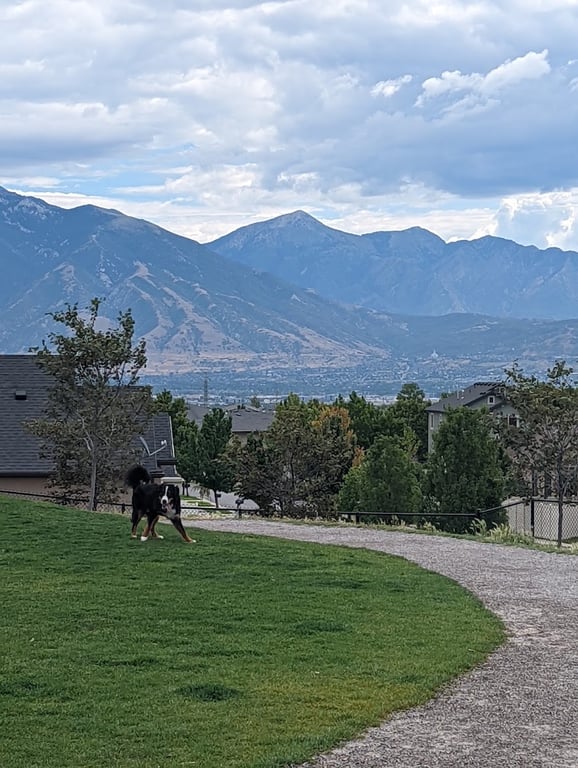 K9 Memorial Dog Park