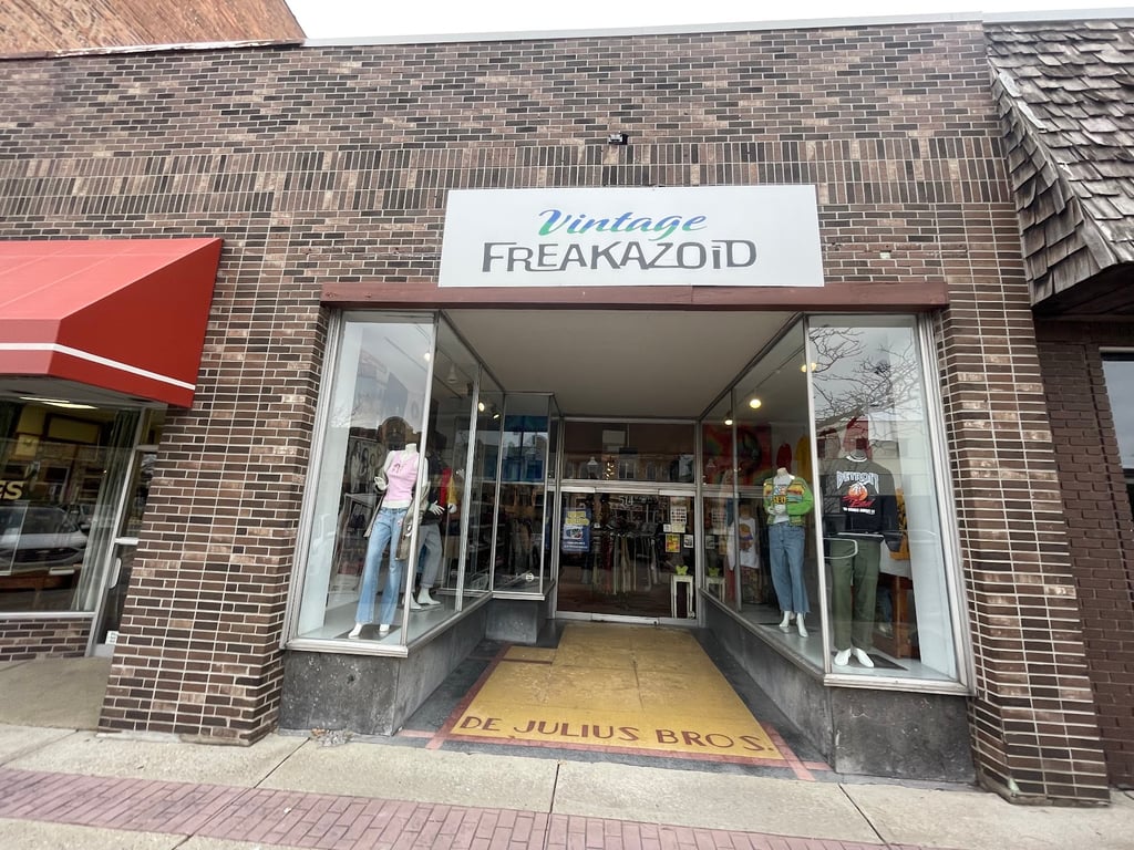 Photo of Vintage Freakazoid