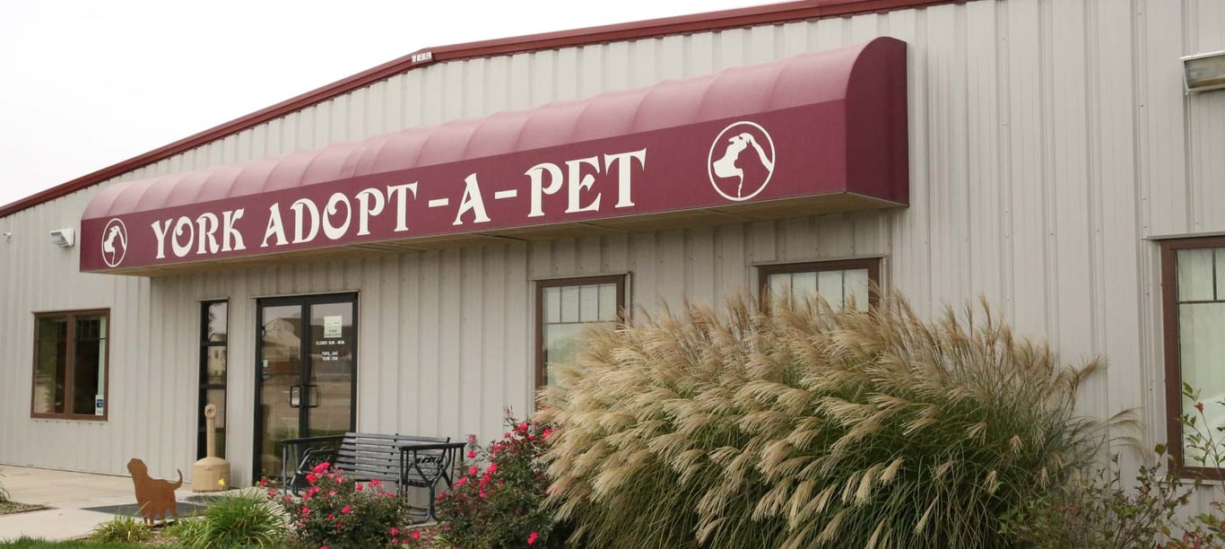 York Adopt A-Pet