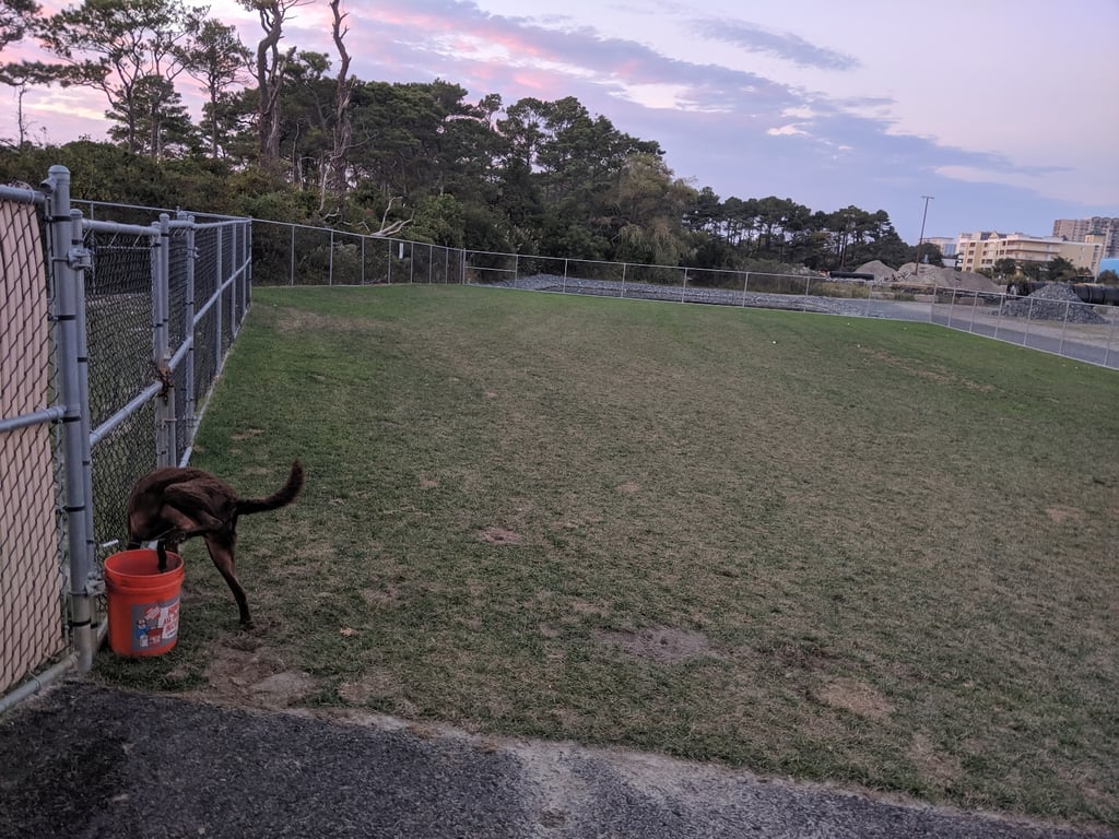 Dog Playground