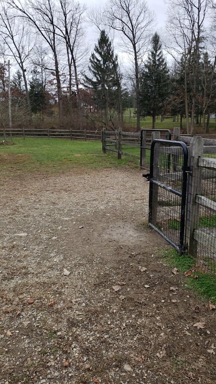 Ontelaunee Park Dog Run