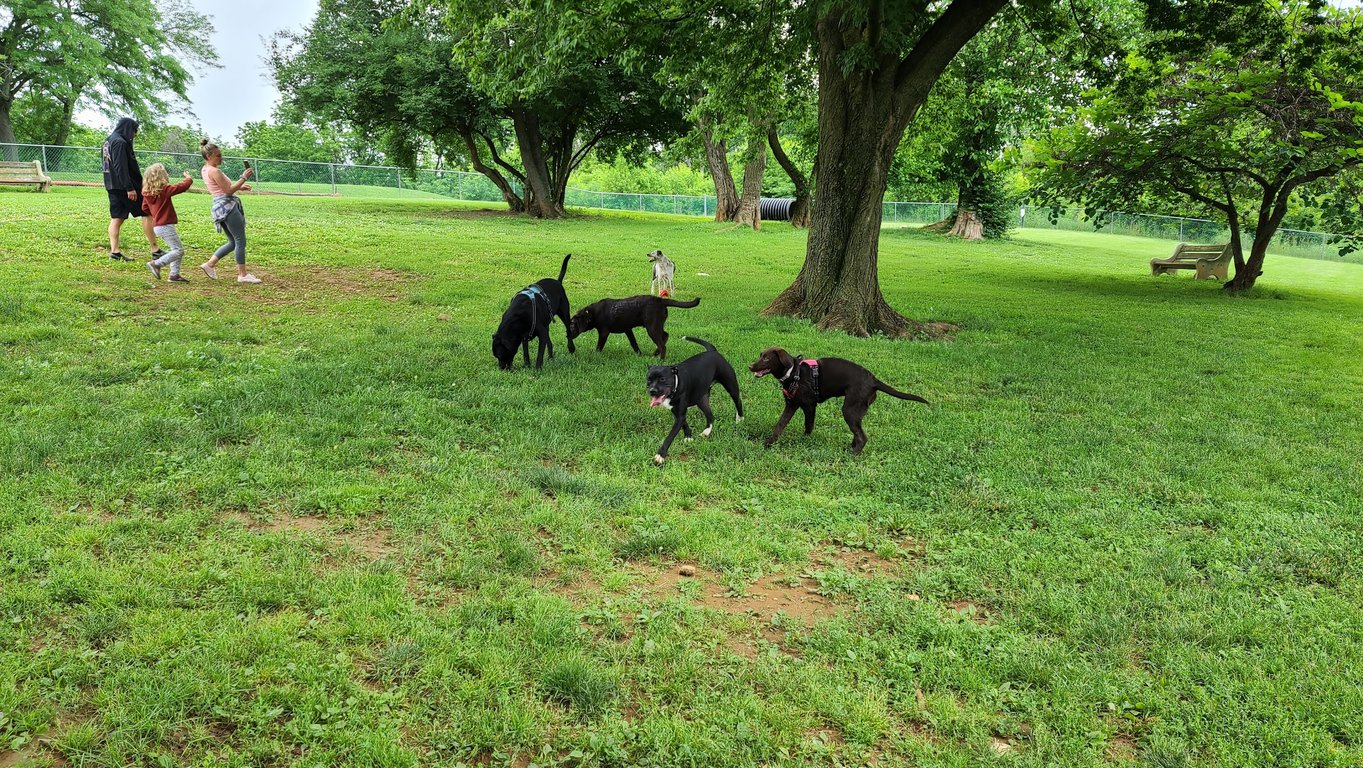 Monocacy park-off leash recreation area