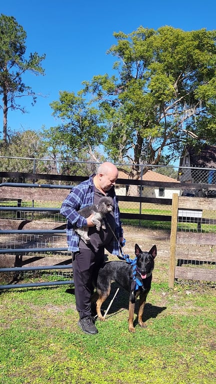 Backyard Dog Racing League