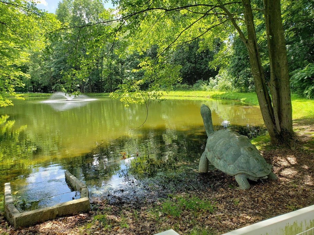 Carousel Park