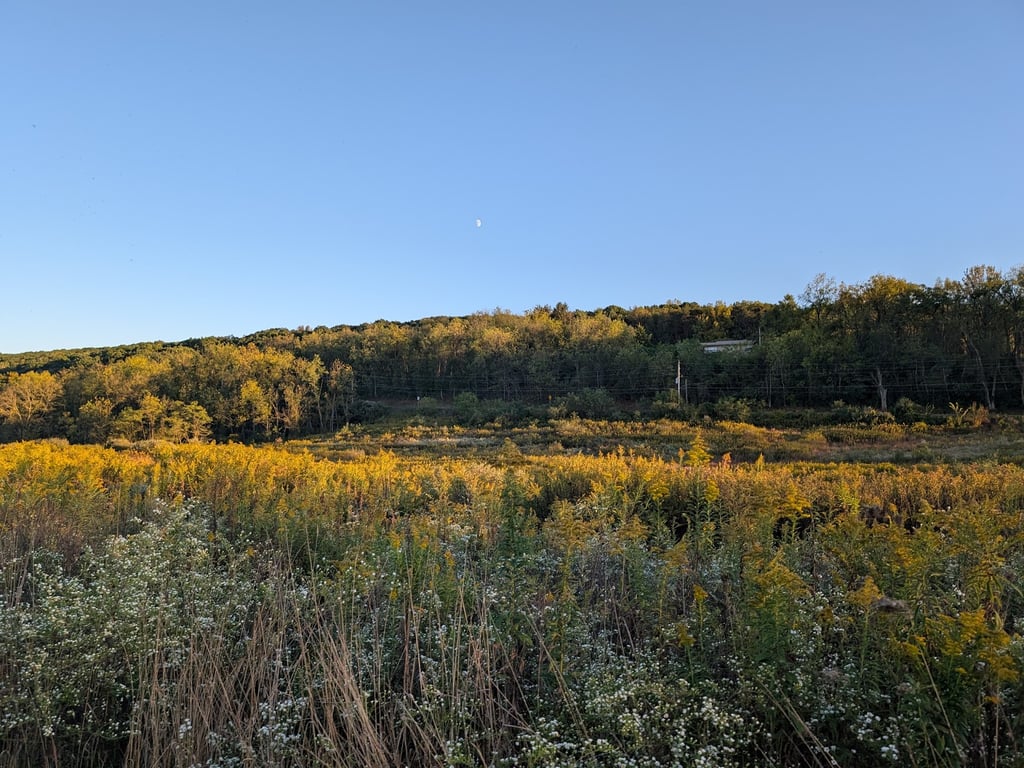 Turtle Creek Park