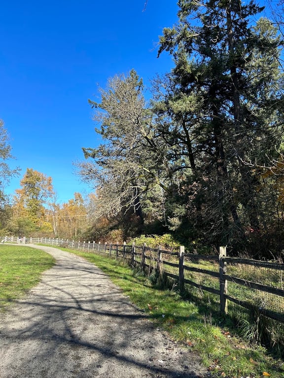 Wapato Park Off-Leash Dog Park