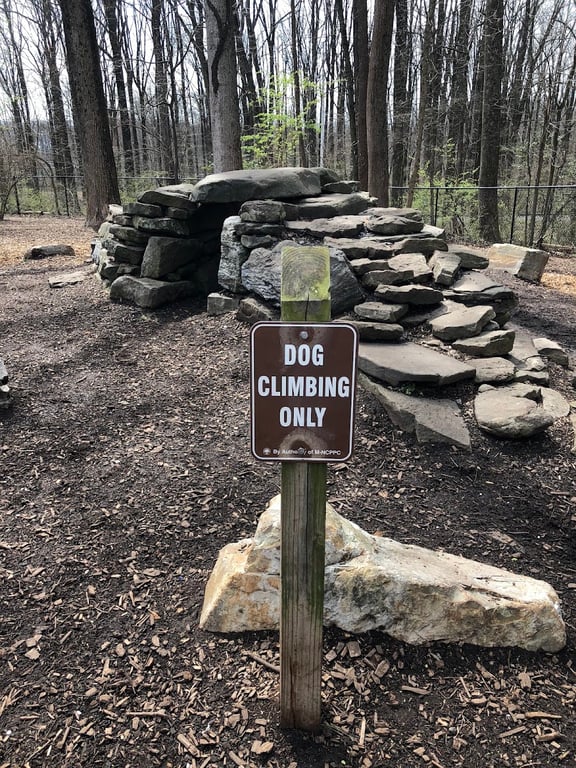 Cabin John Regional Dog Park