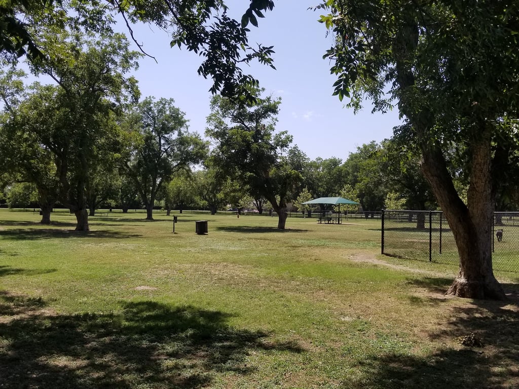 Bark Park