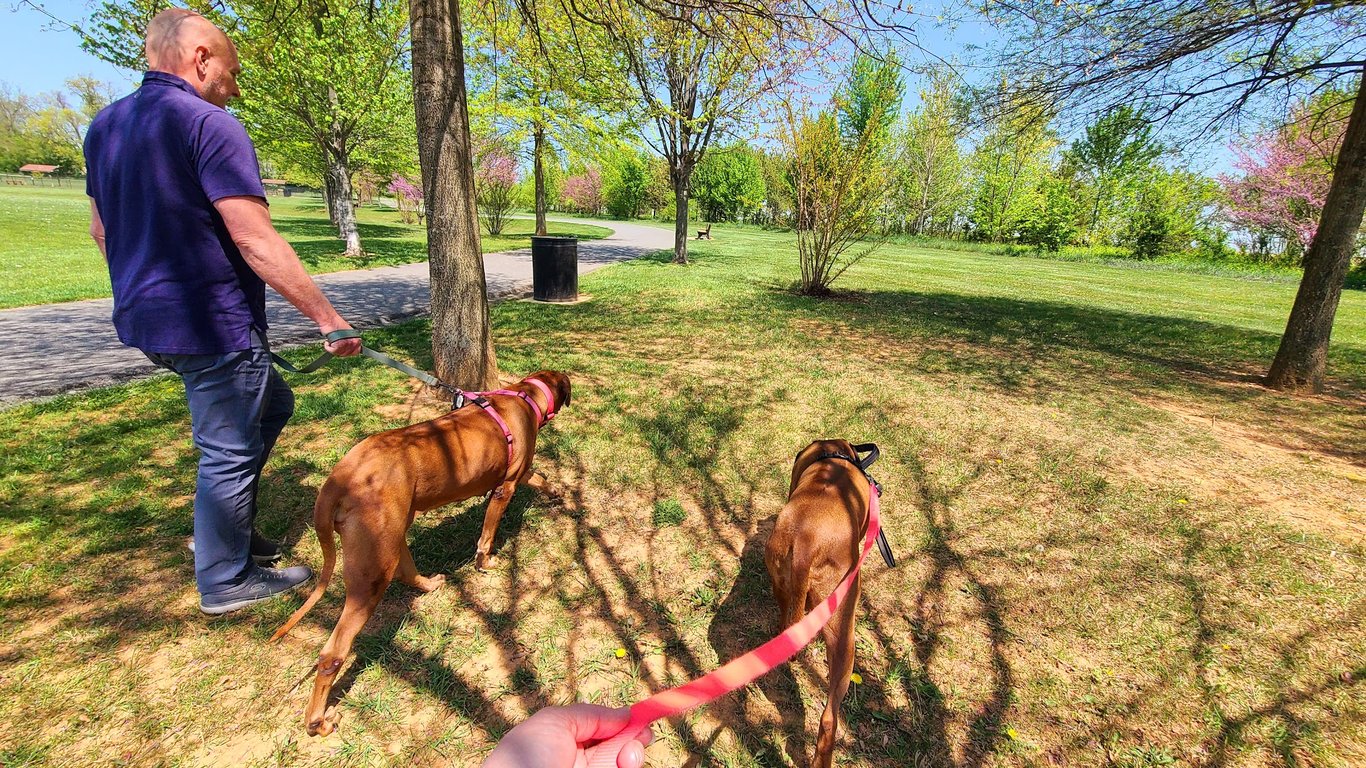 Watkins Park – Mount Airy Dog Park