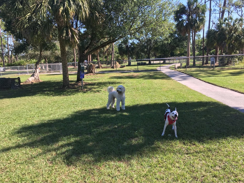 Rover Run