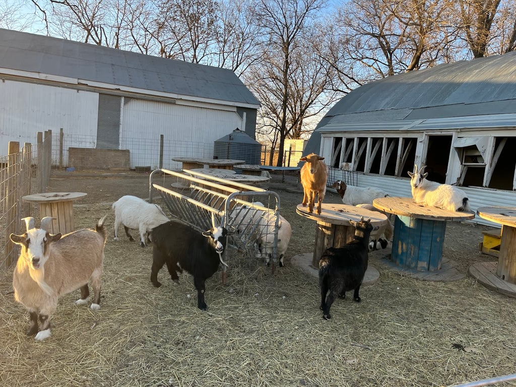 Farm Life Creamery