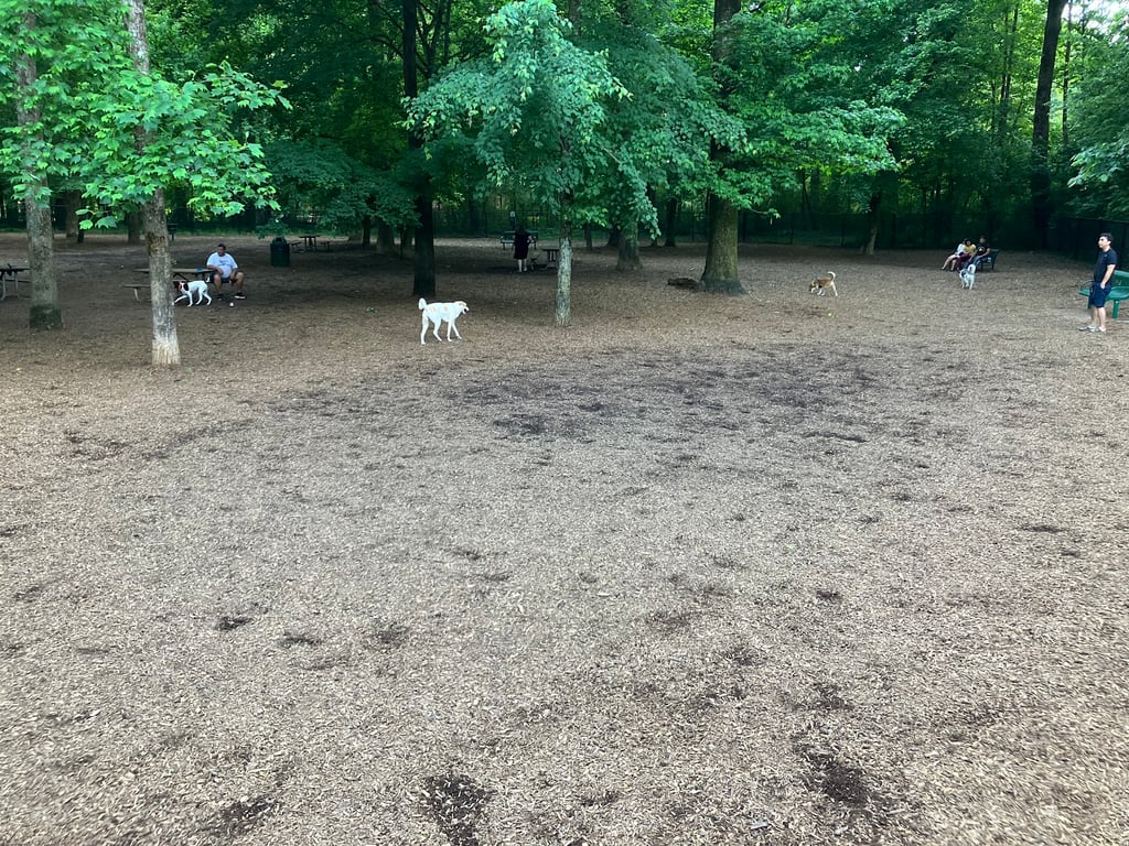 Sweat Mountain Dog Park